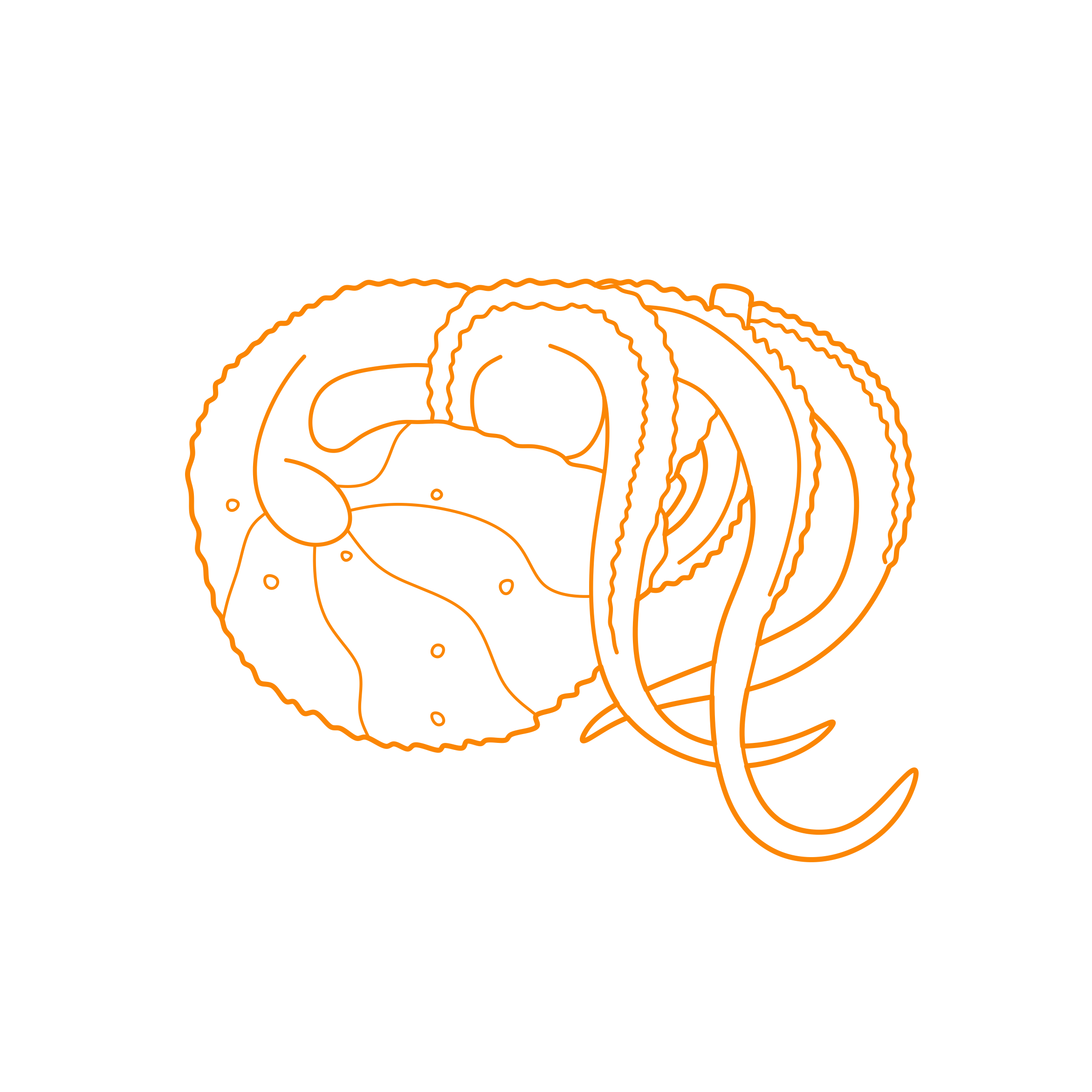 Animals Cephalopods Greater Argonaut Line Art Svg Vector Free Vectors